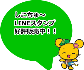 しこちゅ～LINEスタンプ好評販売中！！