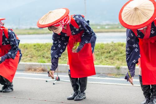 学校給食米田植え体験会が開催されました