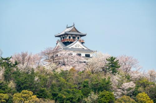 城山公園