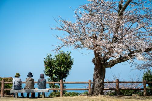 城山公園