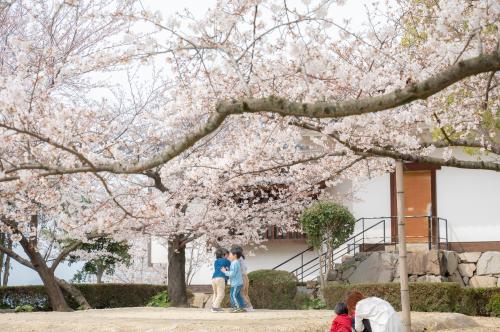 城山公園