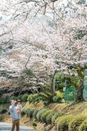 三島公園