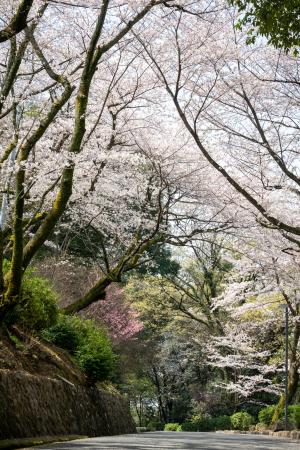 三島公園