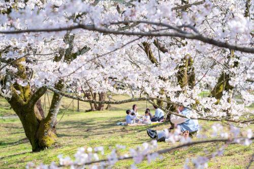 すすきヶ原入野公園