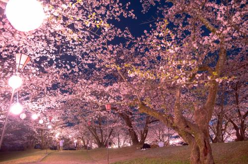 すすきヶ原入野公園