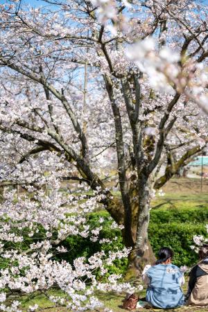 すすきヶ原入野公園