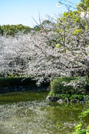 すすきヶ原入野公園