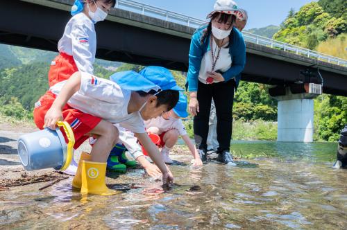 銅山川稚アユ放流1