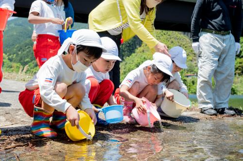 銅山川稚アユ放流3