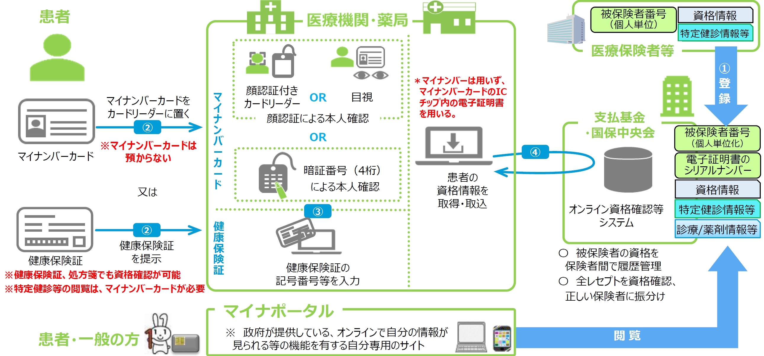 オン欄資格確認の流れのイメージ図