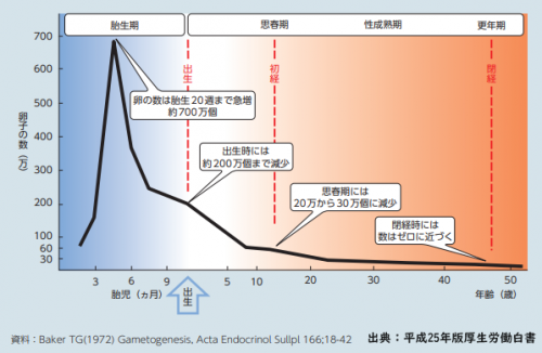 卵子の数の年次変化