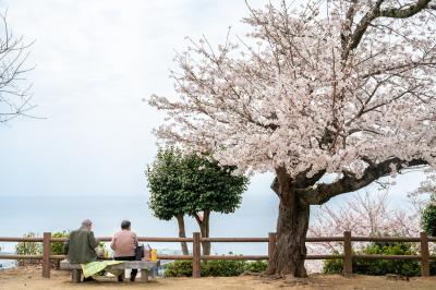 城山公園