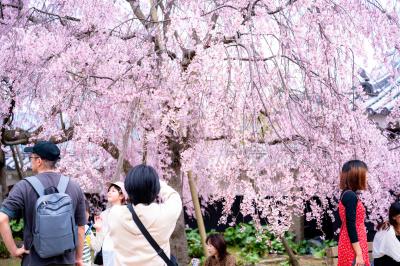 城山公園