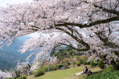 三島公園