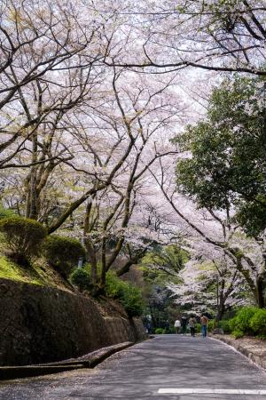 三島公園