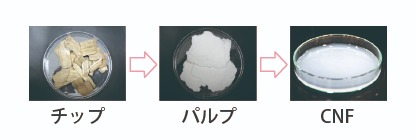 チップパルプCNF