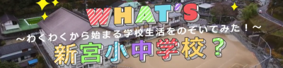 バナー