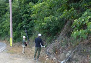 城山公園法面令6.3