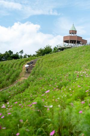 翠波高原全景