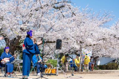 桜まつり