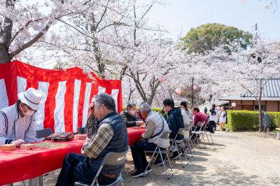 桜まつり