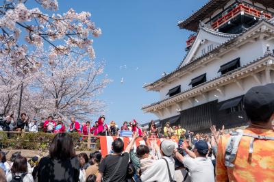 桜まつり