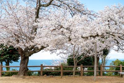 城山公園