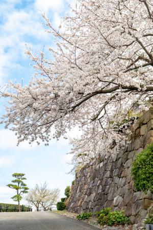 城山公園