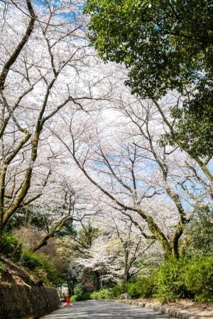 三島公園