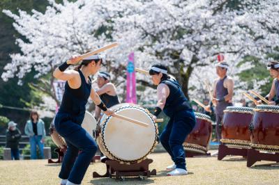 桜まつり