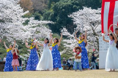 桜まつり