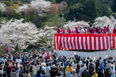 桜まつり