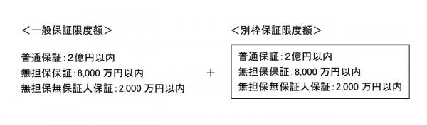 一般保証限度額＋別枠保証限度額
