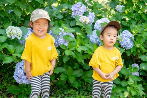 あじさいと子ども