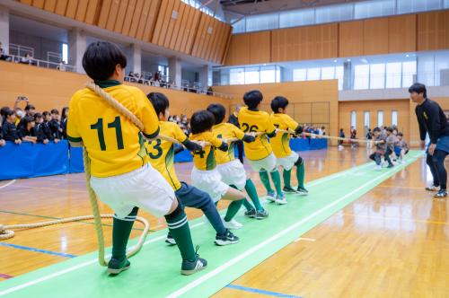 綱引き大会の様子