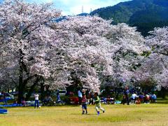 すすきが原の公園で子どもたちが遊んでいる様子