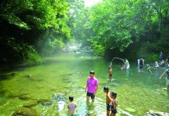 霧の森の中を流れる川で遊ぶ親子の様子