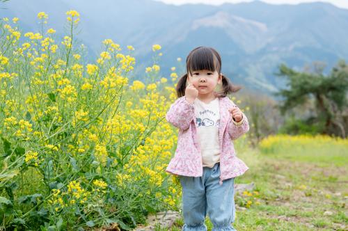 遊歩道を歩く来場者
