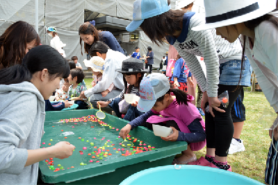 写真：スーパーボールすくいをする子ども