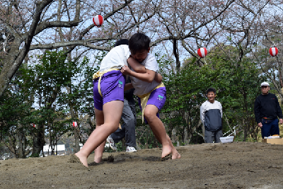 写真：子どもすもう大会の様子