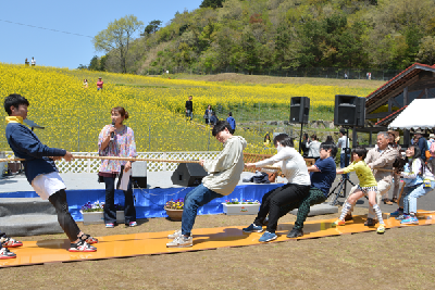 写真1:翠波高原菜の花まつり2017の様子