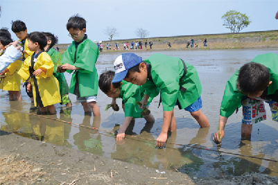 写真：子どもたちが田植え