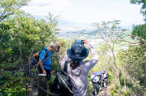 山頂途中の景色