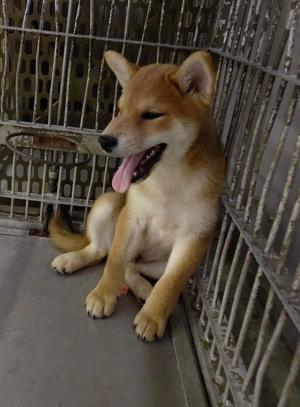 2026年08月21日_写真2