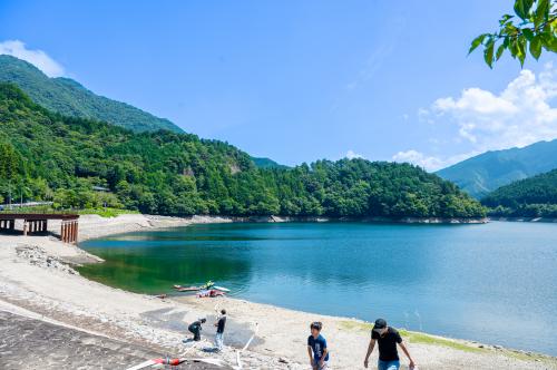 夏の感謝祭