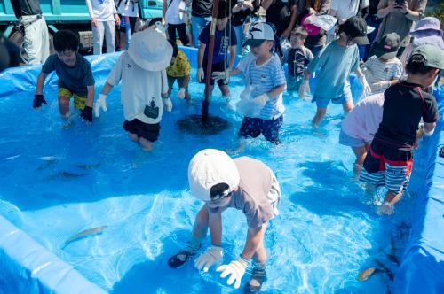 夏の感謝祭