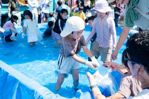 夏の感謝祭