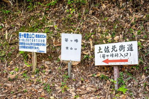 山歩き
