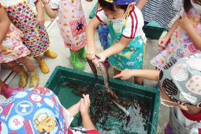 写真：川之江南幼稚園おさかな食育教室の様子