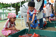 写真：生きたタコを捕まえた園児